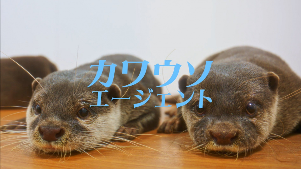 TOHO animationの記事イメージ