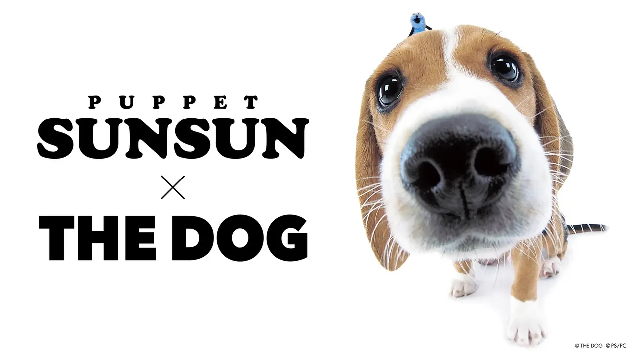 記事のイメージ:CHOCOLATEは10月30日、パペットスンスンと「THE DOG」の初コラボTシャツ3種を発表